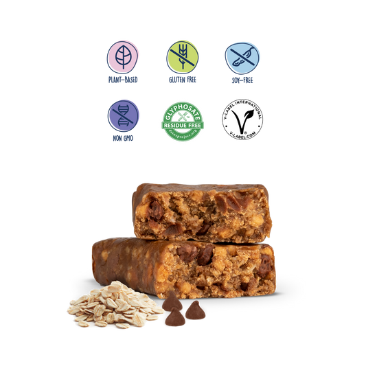 oatmeal chocolate chip nutrition bars